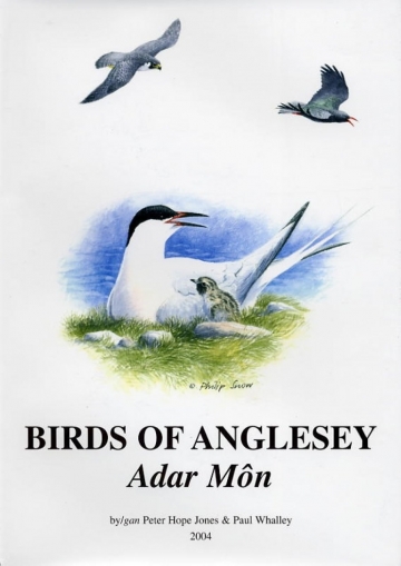 Birds of Anglesey (Adar Môn)