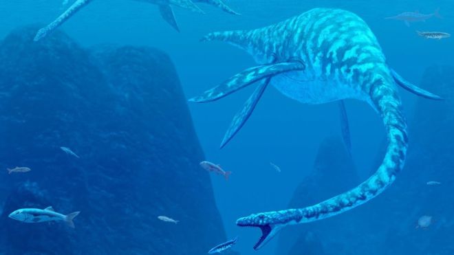 Plesiosaur image from Science Photo Library