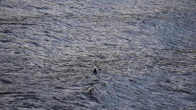 Latest Loch Ness unexplained sighting