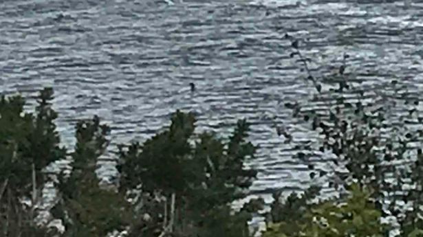New Loch Ness Monster photograph