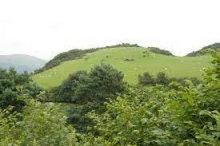 Castell Cynfael