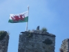 Welsh Flag over Castell Conwy
