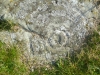 Drumtroddan Cup and Ring Stones 9