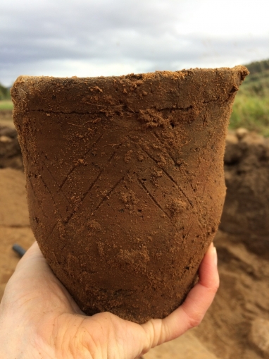 Beaker pot found in grave. Picture: AOC Archaeology