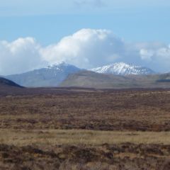 Welsh Peatlands image from Snowdonia National Park