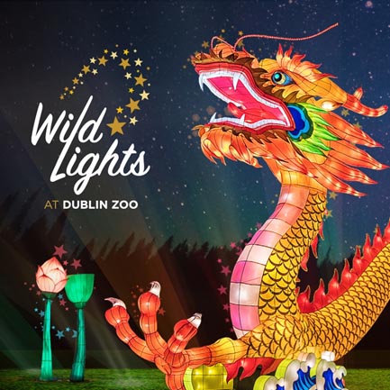 Wild Lights at Dublin Zoo poster