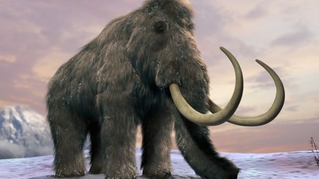 Woolly Mammoth. Image from Science Photo Library